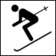 Hora page 163: CNIS Pictogram Skiing, Grass Skiing
