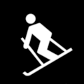 NZS 8603 Outdoor Recreation Symbol No 41: Skiing