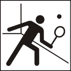 NORM A 3011 Public Information Symbol No 103: Squash