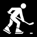 IceHockey