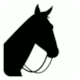 Map Symbol Equestrian Center (Chamonix, France)
