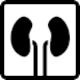 Icon: Nephrology from Health Icons (healthicons.org)