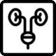 Icon: Urology from Health Icons (healthicons.org)