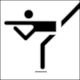 Erco Pictogram Figure Skating