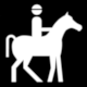 NZS 8603 Outdoor Recreation Symbol No 62: Horse Riding