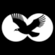 Pictogram No 72: Bird Watching (Avistaje de aves). Argentina Se�al�tica Tur�stica Nacional 2006, by C�novas Eduardo