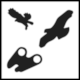 Pictogram Bird Watching (Observatorio de aves) from Castilla y Le�n, Spain