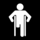 Pictogram Disability (Translink, Queensland, Australia)
