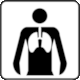 Pictogram No Z-RF016: Pulmonology (Pulmonologia) from alleBHP.pl