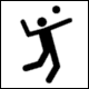 Pictogram Volleyball (Vienna BfS)